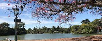 bosque