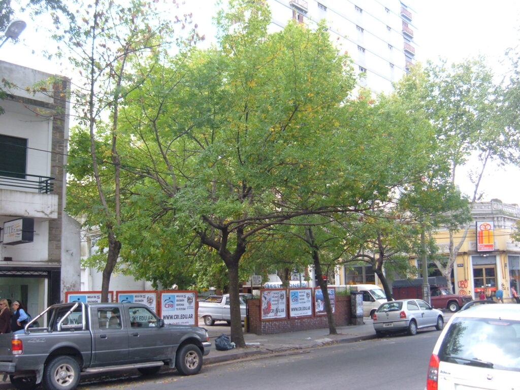 abrole