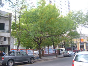 abrole